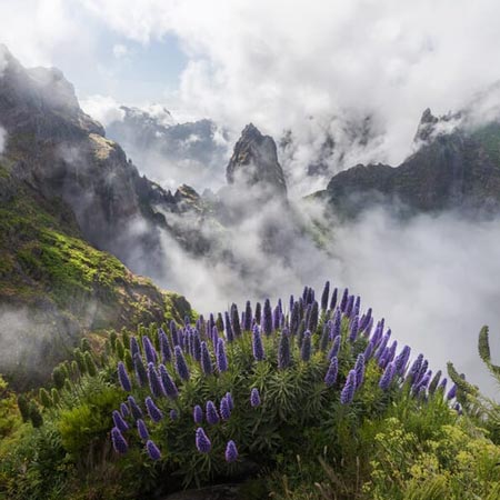 https://capturetheatlas.com/madeira-photo-tour/